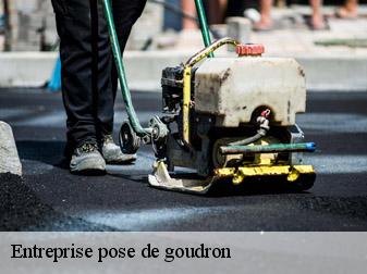 Entreprise pose de goudron Isère 