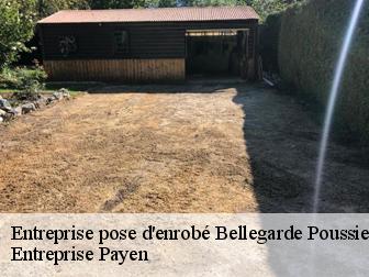 Entreprise pose d'enrobé  bellegarde-poussieu-38270 Entreprise Payen
