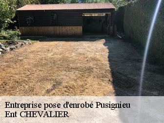 Entreprise pose d'enrobé pusignieu-38510 Ent CHEVALIER