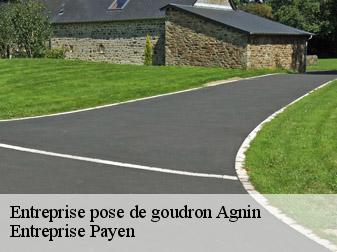 Entreprise pose de goudron  38150