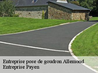 Entreprise pose de goudron  38114