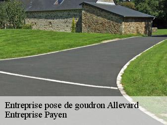 Entreprise pose de goudron  38580