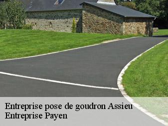 Entreprise pose de goudron  38150