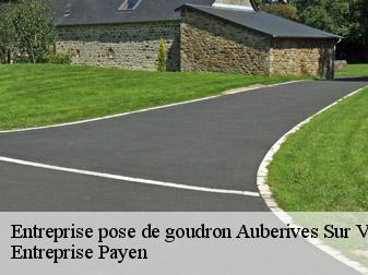 Entreprise pose de goudron  38550