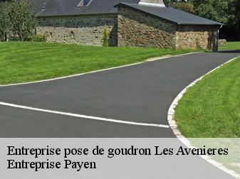 Entreprise pose de goudron  38630