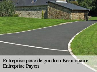 Entreprise pose de goudron  38270