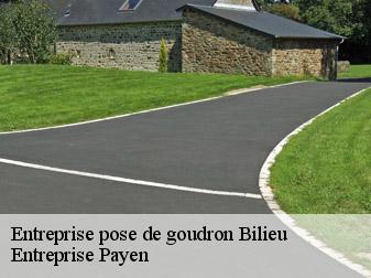 Entreprise pose de goudron  38850