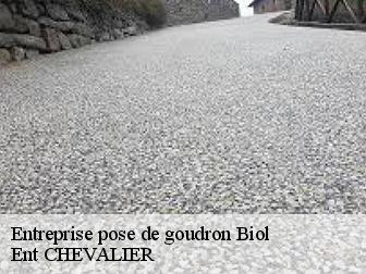 Entreprise pose de goudron biol-38690 Ent CHEVALIER