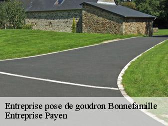 Entreprise pose de goudron  38090