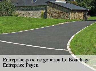 Entreprise pose de goudron  38510