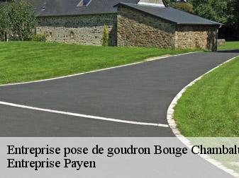 Entreprise pose de goudron 38150