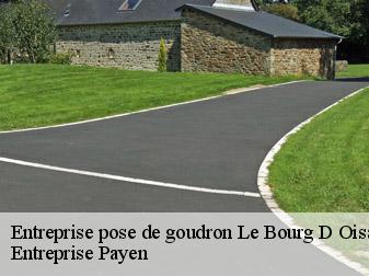 Entreprise pose de goudron  38520