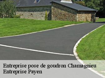 Entreprise pose de goudron  38460