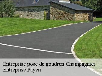 Entreprise pose de goudron  38800