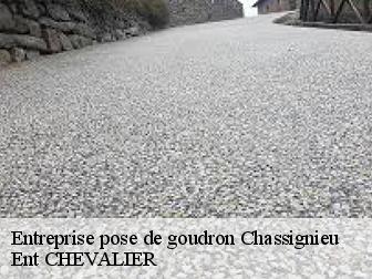 Entreprise pose de goudron chassignieu-38730 Ent CHEVALIER