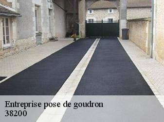 Entreprise pose de goudron  38200