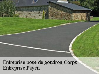 Entreprise pose de goudron  38970