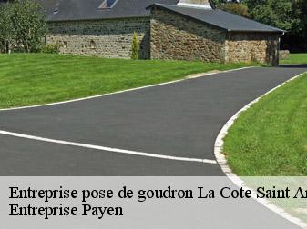 Entreprise pose de goudron  38260