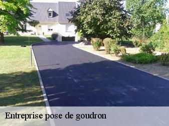 Entreprise pose de goudron