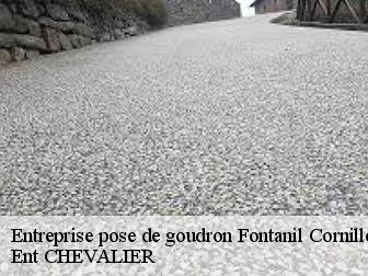 Entreprise pose de goudron fontanil-cornillon-38120 Ent CHEVALIER