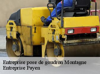 Entreprise pose de goudron