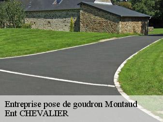 Entreprise pose de goudron 38210