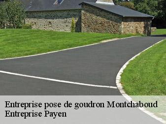 Entreprise pose de goudron  38220