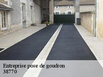 Entreprise pose de goudron 38770