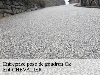 Entreprise pose de goudron oz-38114 Ent CHEVALIER