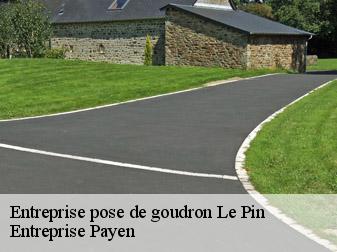 Entreprise pose de goudron  38730