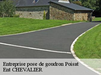 Entreprise pose de goudron 38320