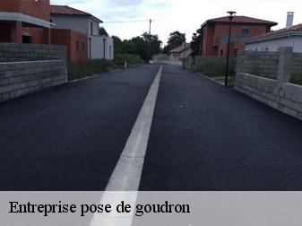 Entreprise pose de goudron