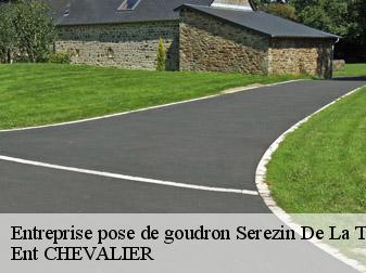 Entreprise pose de goudron 38300