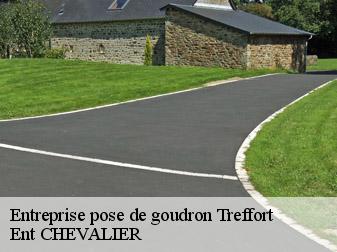 Entreprise pose de goudron 38650