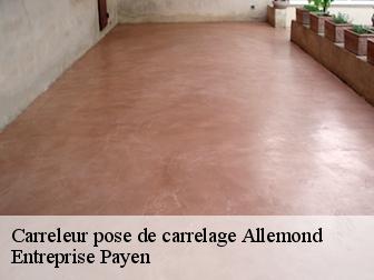 Carreleur pose de carrelage  allemond-38114 Entreprise Payen