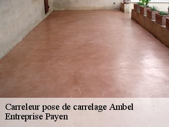 Carreleur pose de carrelage  ambel-38970 Entreprise Payen