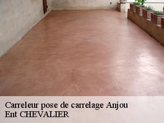 Carreleur pose de carrelage anjou-38150 Entreprise Payen