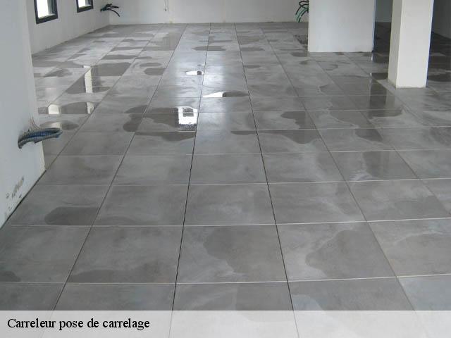 Carreleur pose de carrelage  38880