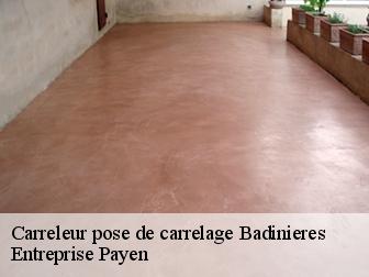 Carreleur pose de carrelage  badinieres-38300 Entreprise Payen