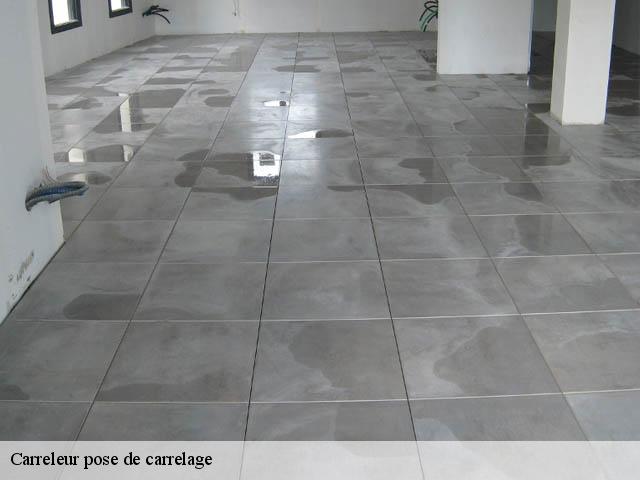 Carreleur pose de carrelage 38390