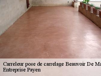 Carreleur pose de carrelage  beauvoir-de-marc-38440 Entreprise Payen