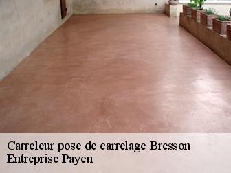 Carreleur pose de carrelage  bresson-38320 Entreprise Payen