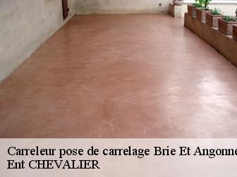 Carreleur pose de carrelage brie-et-angonnes-38320 Ent CHEVALIER