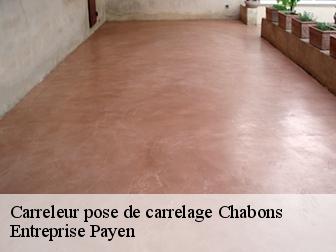 Carreleur pose de carrelage  chabons-38690 Entreprise Payen