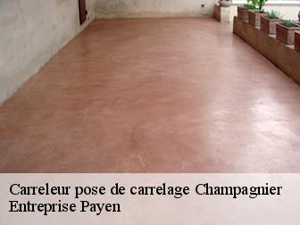 Carreleur pose de carrelage  champagnier-38800 Entreprise Payen