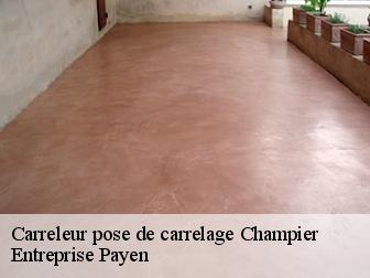 Carreleur pose de carrelage  champier-38260 Entreprise Payen