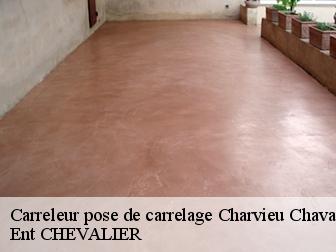 Carreleur pose de carrelage charvieu-chavagneux-38230 Ent CHEVALIER