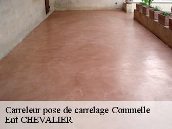 Carreleur pose de carrelage commelle-38260 Ent CHEVALIER