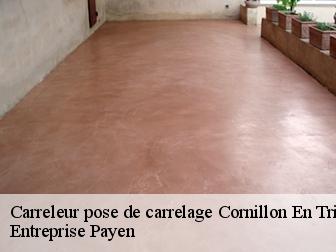 Carreleur pose de carrelage  cornillon-en-trieves-38710 Entreprise Payen