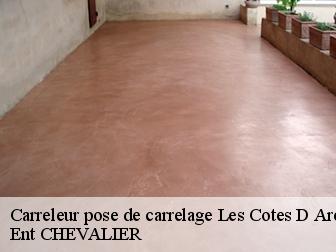 Carreleur pose de carrelage les-cotes-d-arey-38138 Ent CHEVALIER
